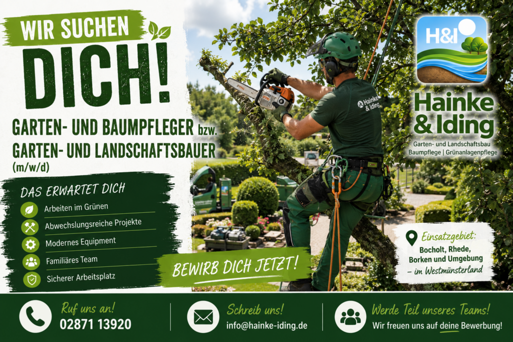 Bewirb dich jetzt